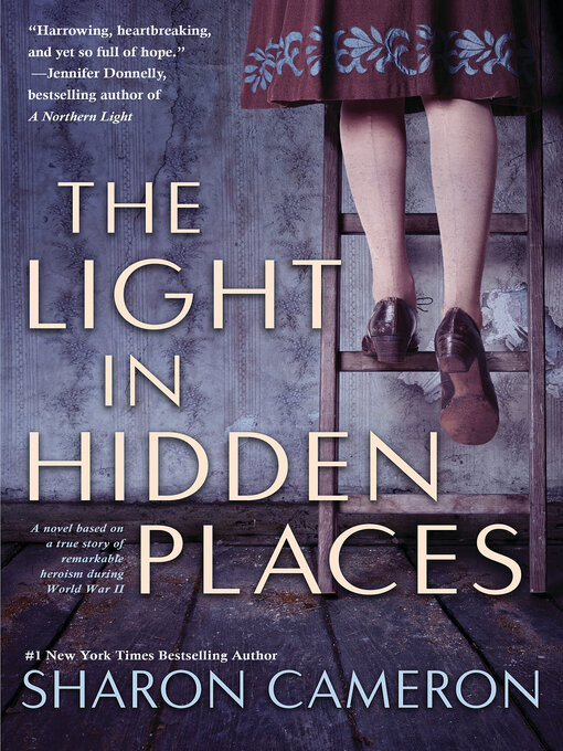 Title details for The Light in Hidden Places by Sharon Cameron - Available